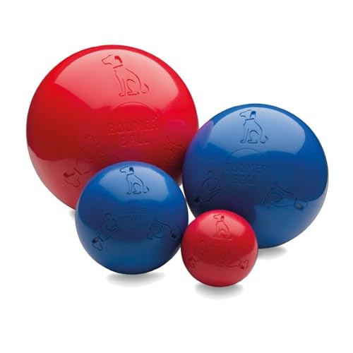Boomer Ball Tough Dog Toy, 8 Inch